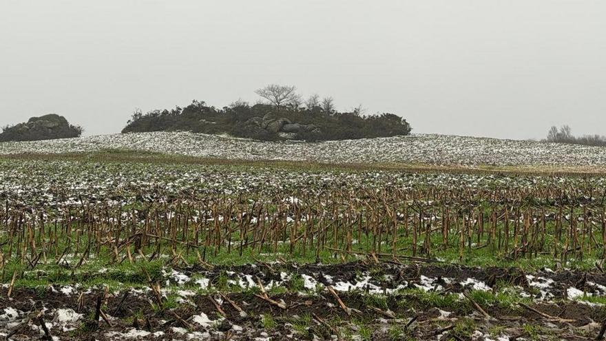 La borrasca 'Ingrid' deja nieve en Curtis y algunos estragos por el viento en el área de A Coruña