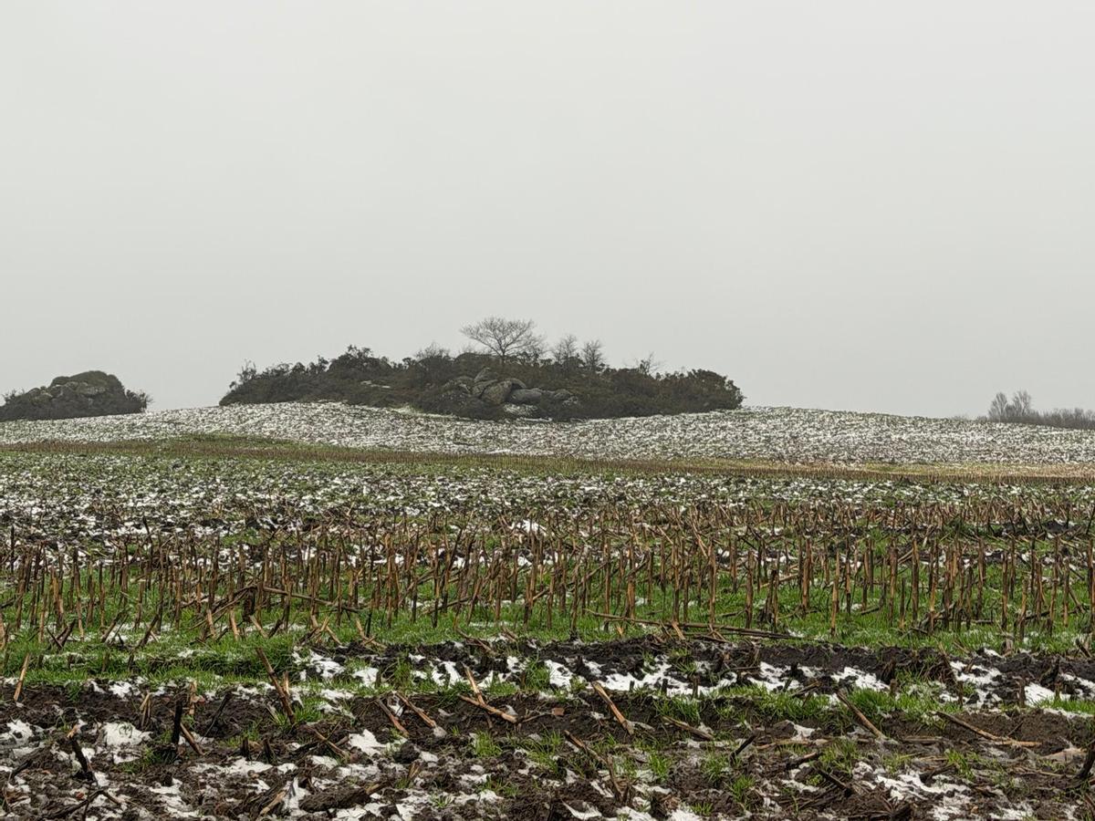 Nieve en Curtis este viernes 23 de enero de 2026 en plena alerta por la borrasca 'Ingrid'.
