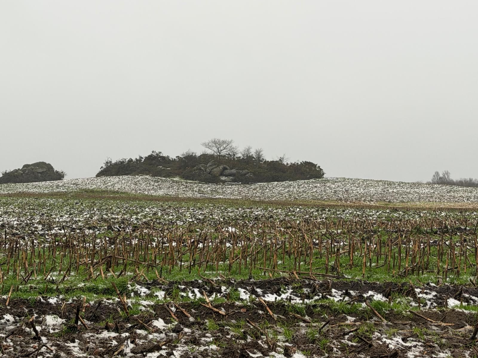 Nieve en Curtis este viernes 23 de enero de 2026 en plena alerta por la borrasca 'Ingrid'.
