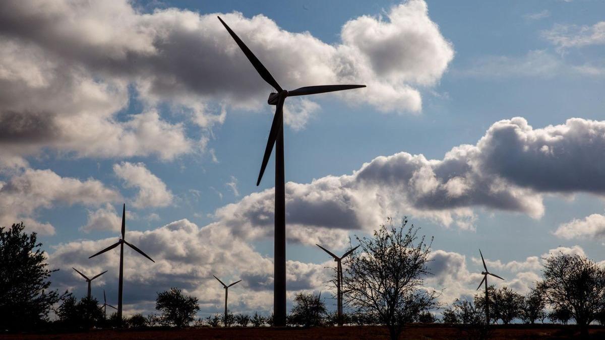 El viento y el sol, fuentes de energía y de ingresos en La Muela.