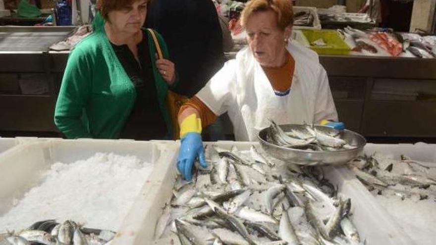 Placeras con sardinas a la venta ayer en la plaza de abastos de Pontevedra. // Rafa Vázquez