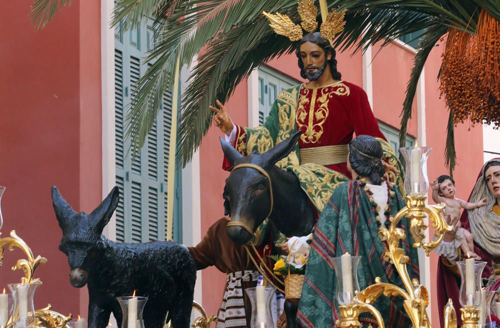 Domingo de Ramos | Pollinica