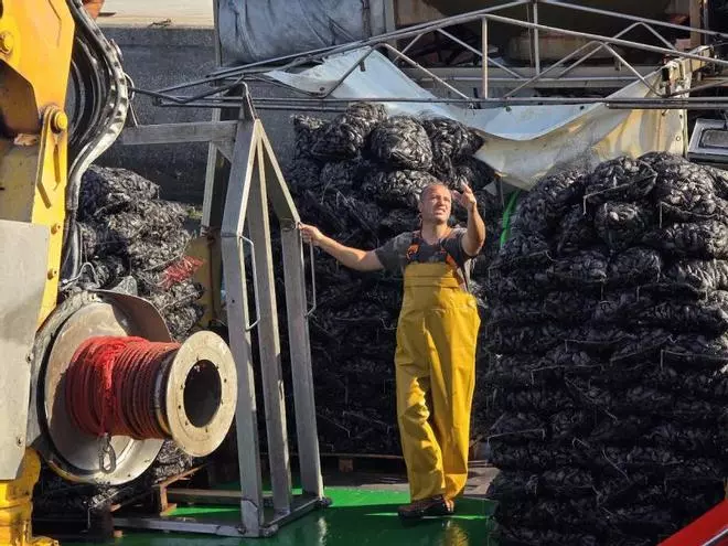 Los bateeiros completan la campaña de la mejilla y confían en que las ventas despeguen en julio