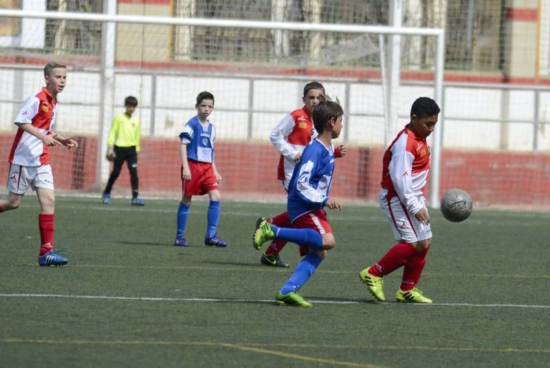 FÚTBOL: Hernán Cortés - San Gregorio (1ª Alevín grupo 2)