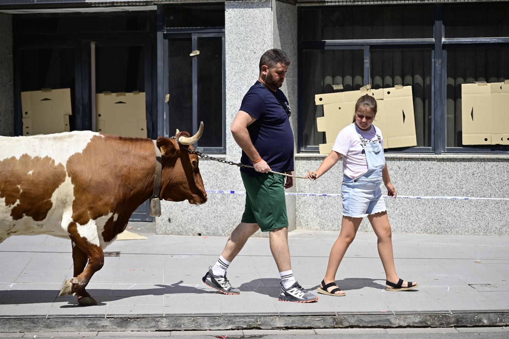 Una 'cagada' vale 1.000 euros