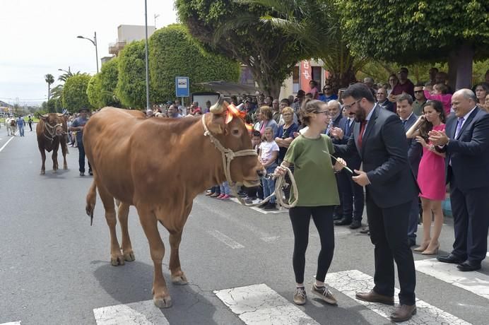 Feria de ganado y procesión de San José Obrero