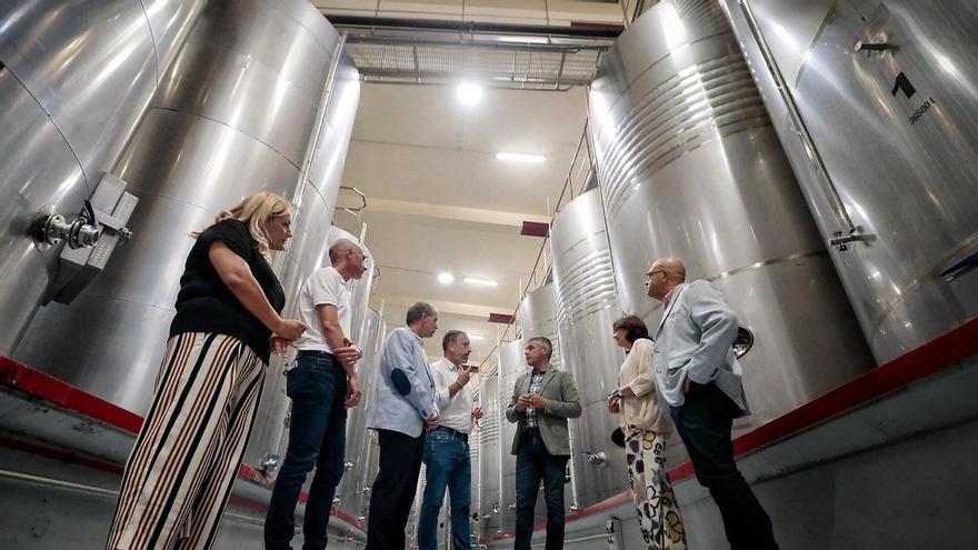 Valle de Güímar Winery Sets New Standard for Canarian Viticulture