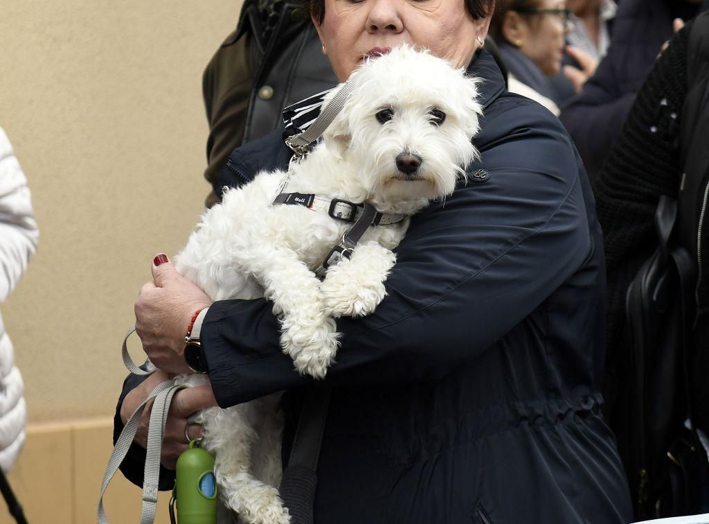 Así ha sido la bendición de animales por San Antón en Murcia