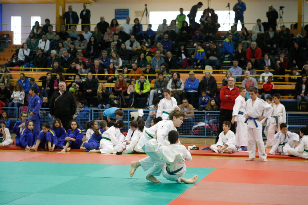 Campeonato regional de judo