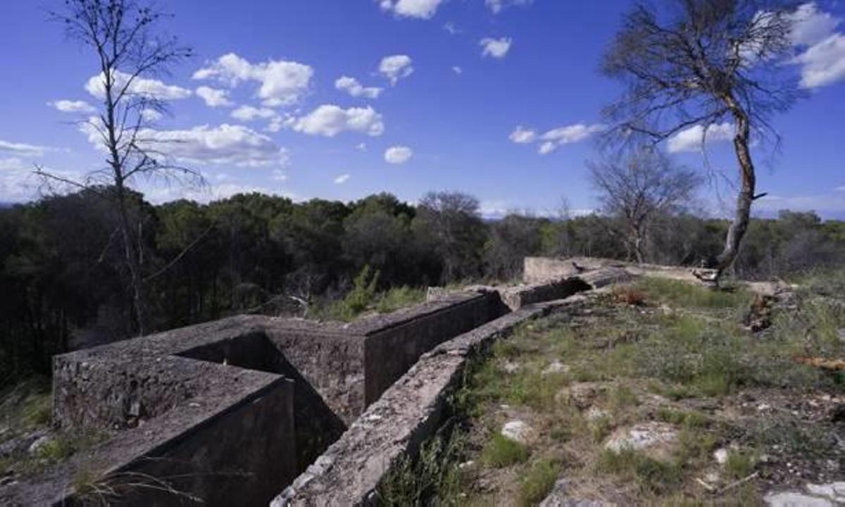 Tres expertos reconstruyen la Inmediata