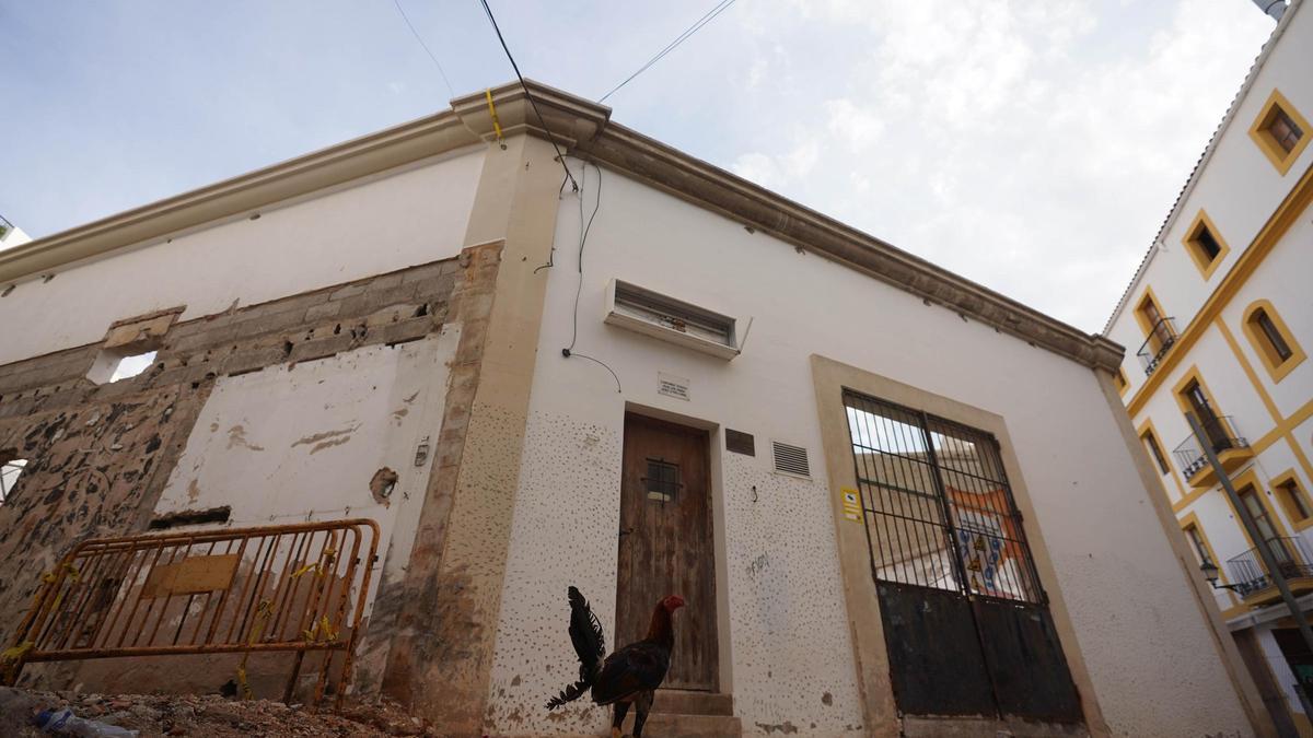 La fachada de Sa Peixateria en obras y un gallo que vive en el recinto