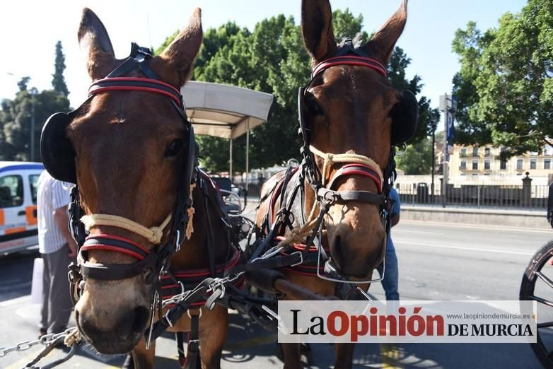 Ruta a caballo desde la ciudad al corazón de la hu