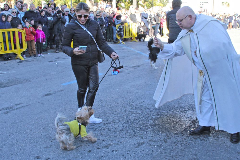 Sant Antoni en Sagunt