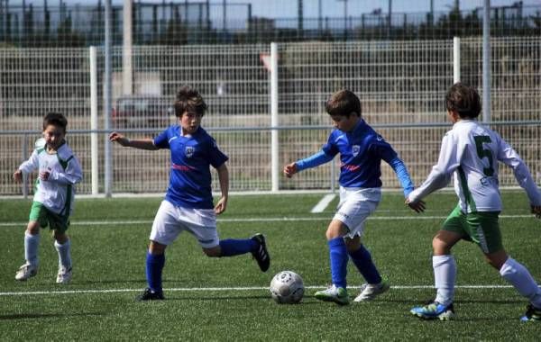 FÚTBOL: Utebo - Olivar (Benjamín)