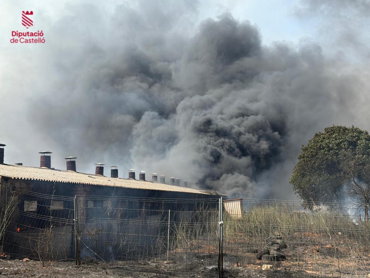 Los bomberos trabajan en los rebrotes del fuego en Artana y en Alcudia de Veo