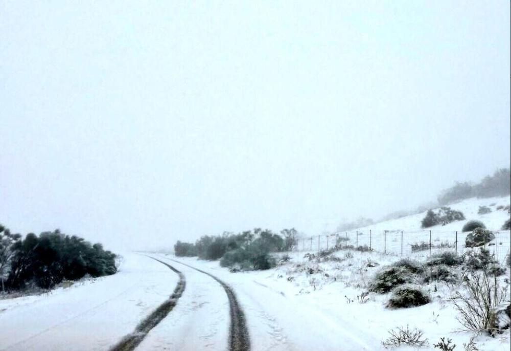 Nieve en Antequera.