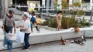 Improvisado parque en unas fuentes inoperativas