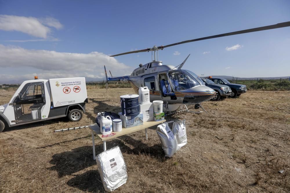 Un helicóptero fumiga para evitar la propagación de los mosquitos