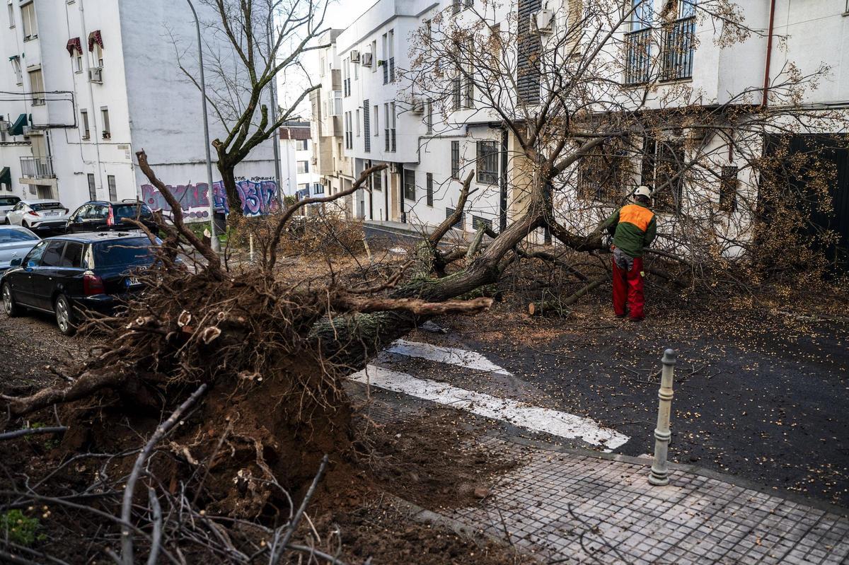 Fotogalería | El temporal en Cáceres, más imágenes