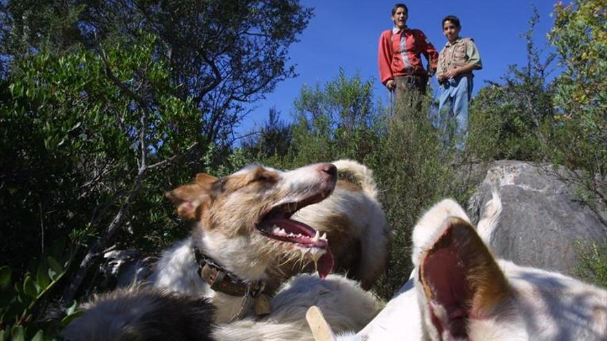 Los cazadores denuncian el daño por el retraso de la orden de veda