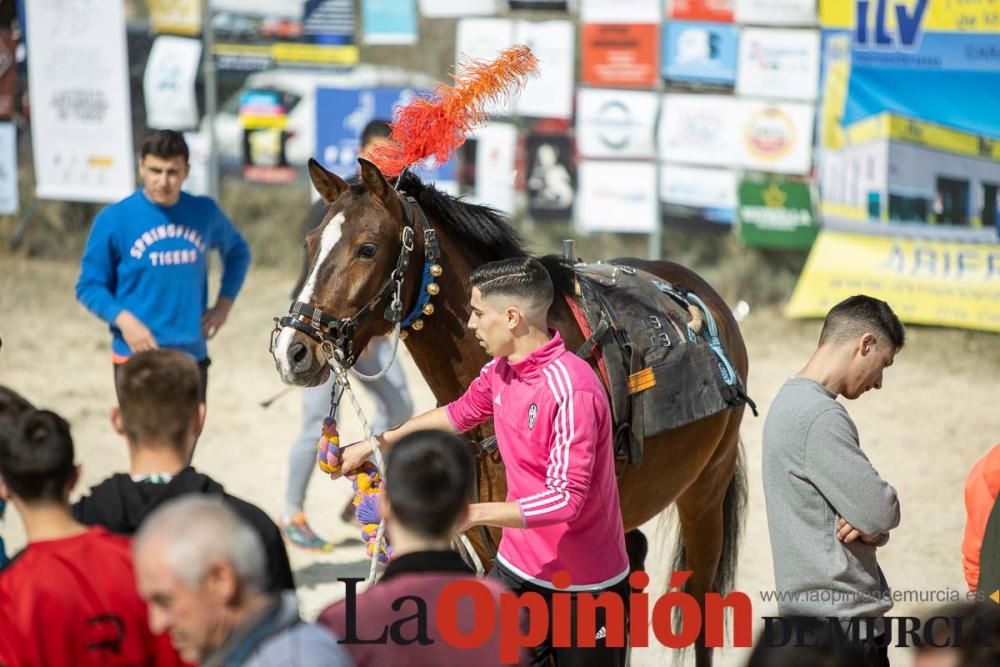 Carrera de entrenamiento de los Caballos del Vino