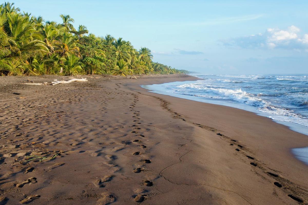 La playa Tortuguero durante las primeras horas del día