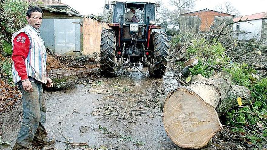 Remite la nieve, pero la lluvia y el viento derriban varios árboles sobre carreteras