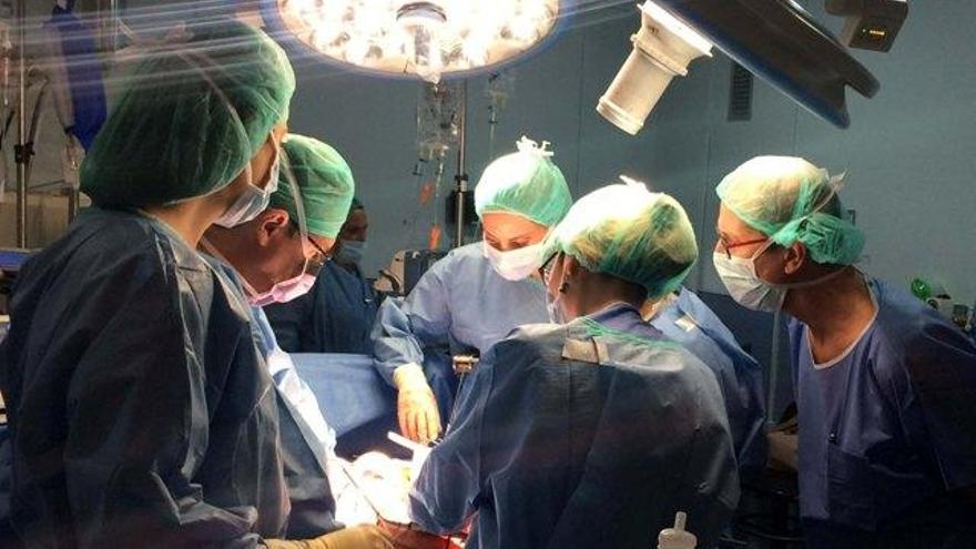 El General acoge las prácticas del máster en ginecología oncológica de la UJI