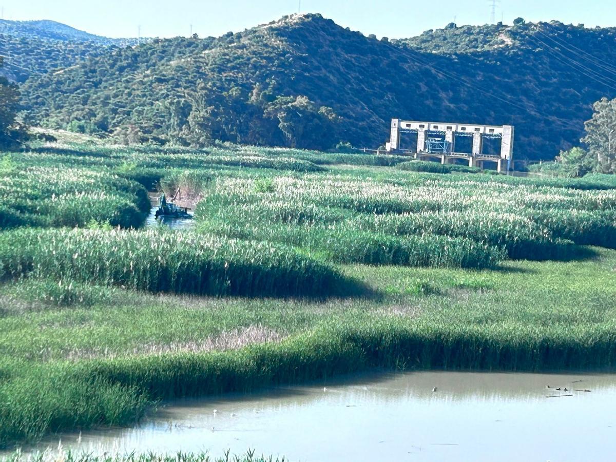 Los agricultores del Genil-Cabra, preocupados por el canal Los agricultores del Genil-Cabra, preocupados por el canal