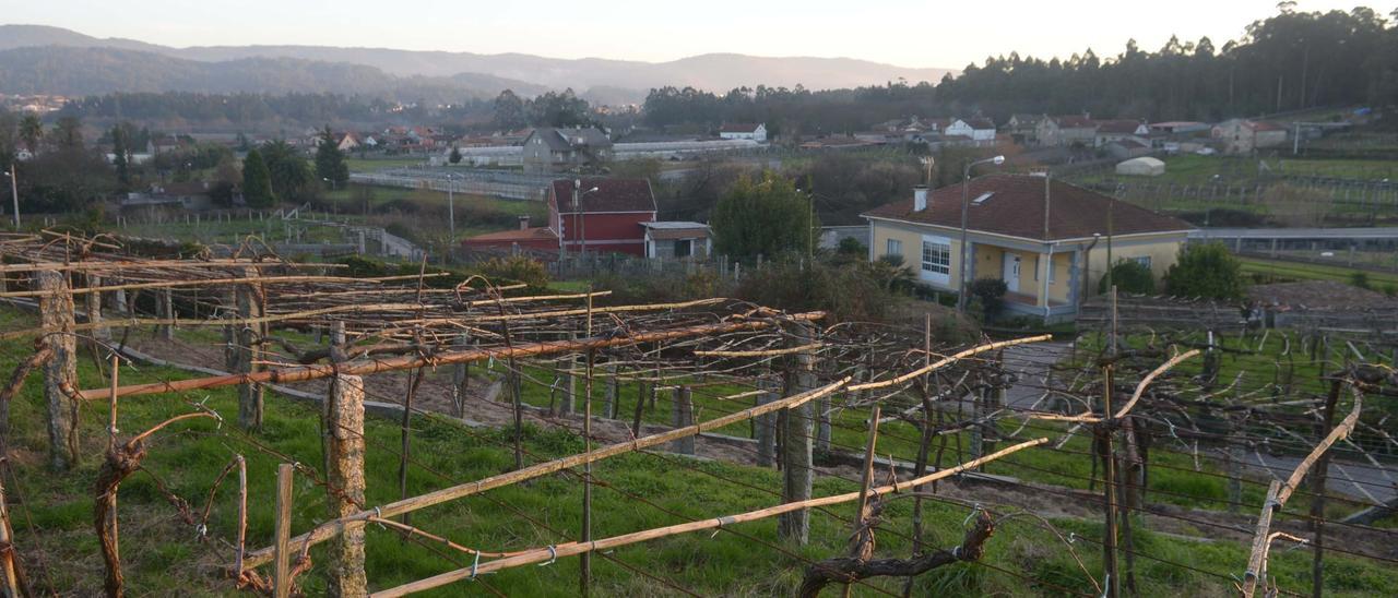 Fincas y casas en el rural.