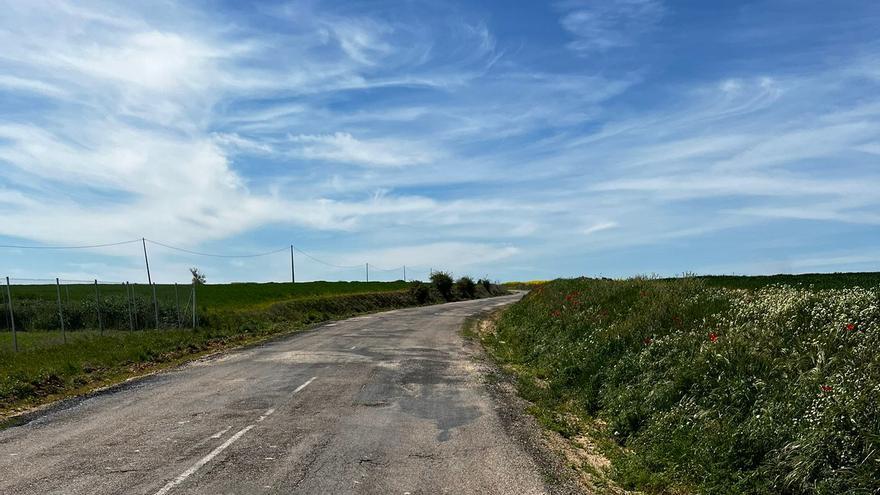 Denuncian el &quot;lamentable estado&quot; de esta carretera zamorana