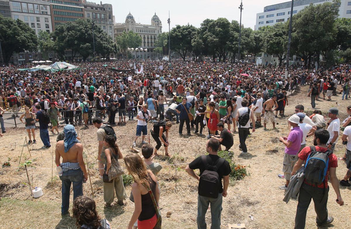 El desallotjament de la plaça de Catalunya, vist per Guillermo Moliner.