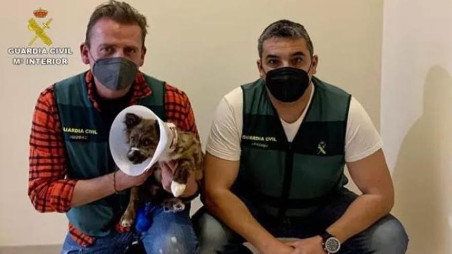 Agentes de la Guardia Civil con el cachorro salvajemente maltratado en Altea
