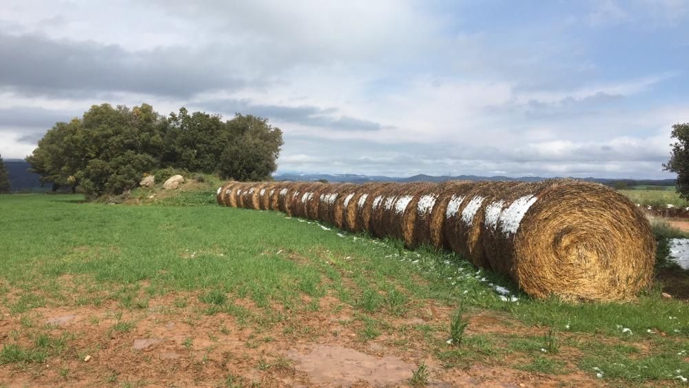 Acaballes. Últims rastres de la neu caiguda el mes passat, sobre unes bales de palla.