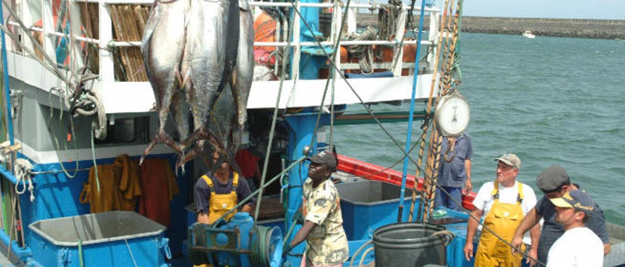 El Estado vuelve a discriminar a la flota artesanal isleña de atún rojo