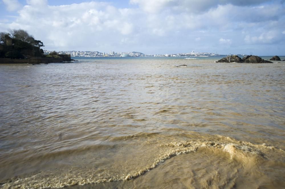 La bahía de Santa Cruz, otra vez teñida de marrón