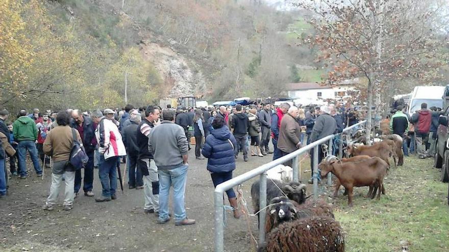 La feria de Sellañu reúne a cientos de personas, pero cae el número de reses