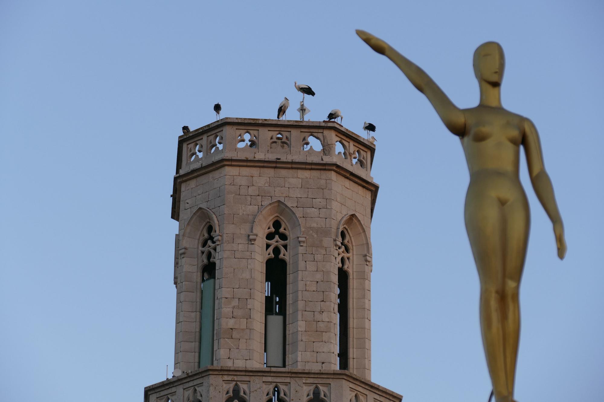 Dsenes de cigonyes fan parada a Figueres