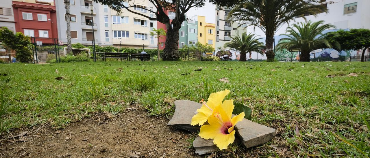 Flores para Miguel Ángel