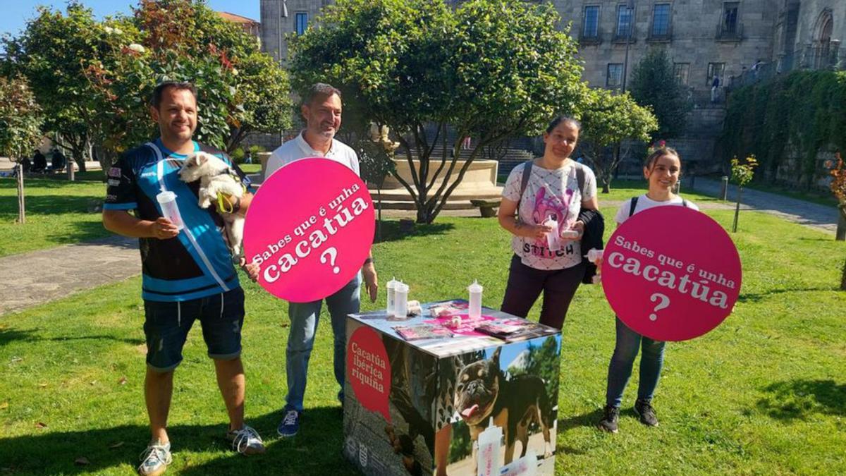 Presentación de la campaña.