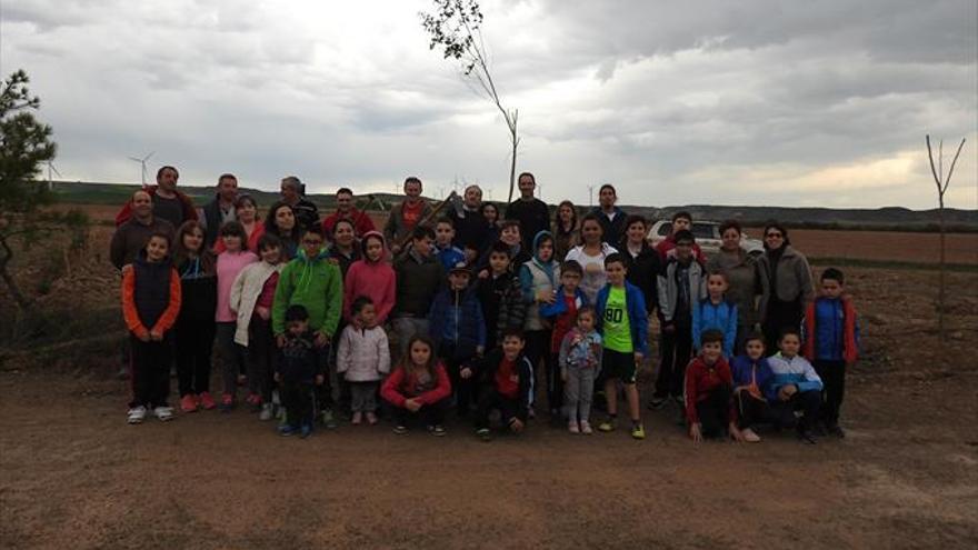 Los escolares plantan pinos junto a la ermita