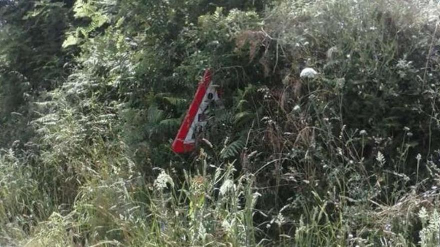 Una señal de zona escolar oculta en la maleza en la carretera de Coiro.
