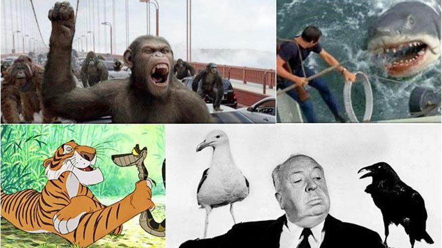 Los animales más malos del cine.