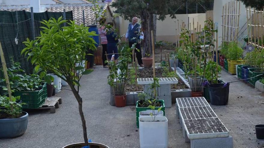 El huerto de los vecinos de Los Molinos es un ejemplo de la unión que se ha creado para hacer resurgir el barrio.