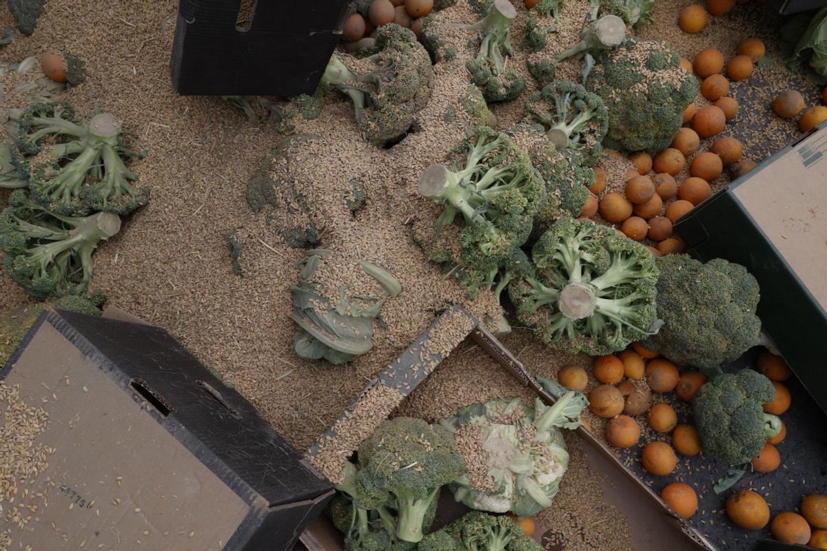 Colapso en las calles de València en el inicio de la tractorada por el acuerdo de la UE y el Mercosur