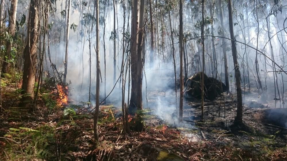 Labores de extinción en San Cibrán // G.Núñez