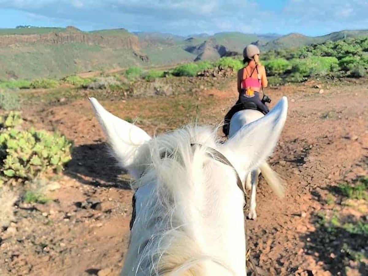 Excursiones a caballo en El Salobre