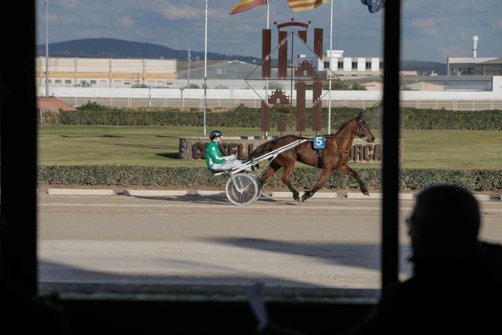 Ambiente en el hipódromo de Son Pardo