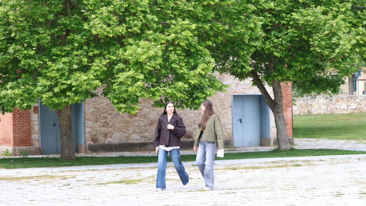 Campus Viriato de Zamora