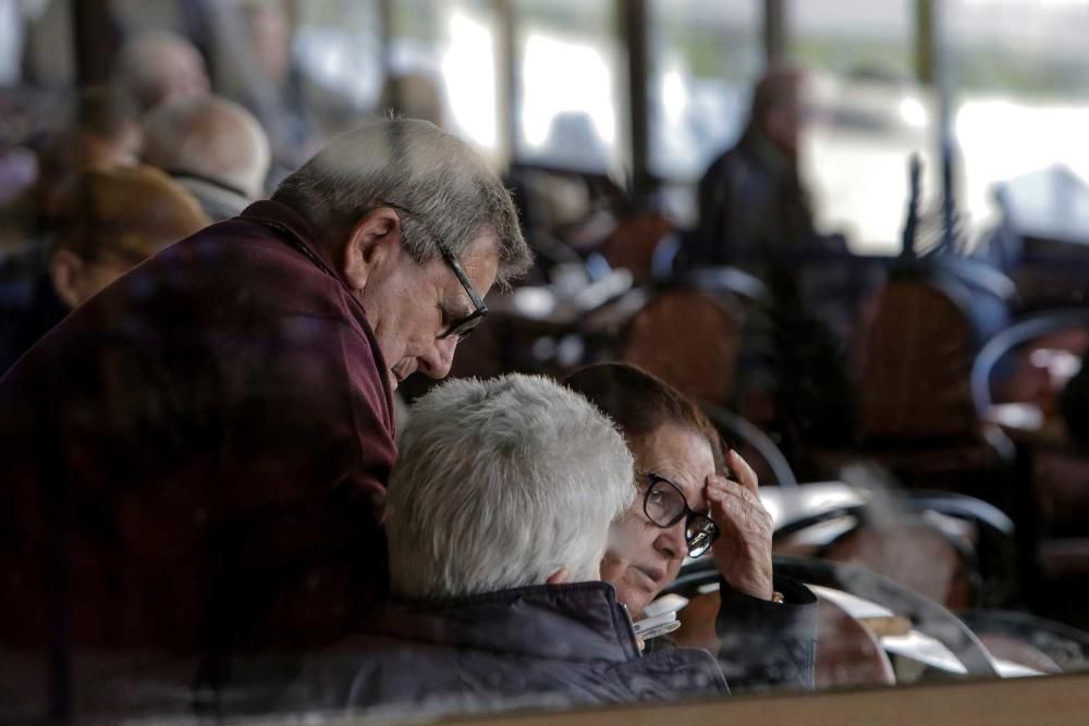 Ambiente en el hipódromo de Son Pardo